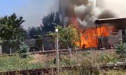 Sivas'ta Korkutan Yangın