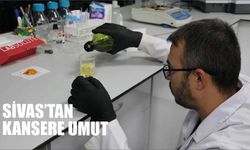 Sivas'tan Kansere Umut