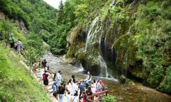 Giresun- Sivas yolunda doğa tutkunlarını ağırlıyor