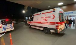Tartıştığı kardeşini tabancayla öldüren şüpheli, yakalandı