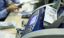 Mayısta en fazla aylık reel getiri mevduat faizinde oldu