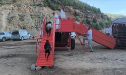 Hayvanlarını yaylalara götüren göçerlere mobil hizmet