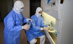 Türkiye'nin ilk deri bankası ve doku laboratuvarı hizmete açıldı