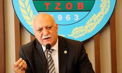 Doğal afetler tarım sektörüne zarar verdi