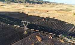 Yangında 80 dönüm alan zarar gördü