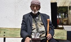 Sivas'ın  100 Yıllık Çınarı