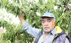 Sivaslı üretici 6 yıl önce ekti! Şimdi meyvesini yiyor!