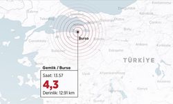 Bursa'da 4,3 büyüklüğünde deprem