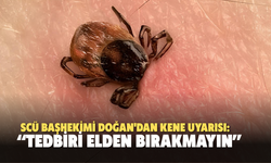 SCÜ Başhekimi Doğan'dan kene uyarısı: “Tedbiri Elden Bırakmayın”