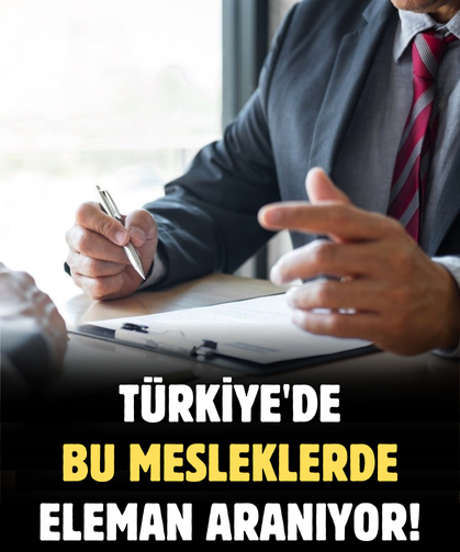 Türkiye'de bu mesleklerde eleman aranıyor!