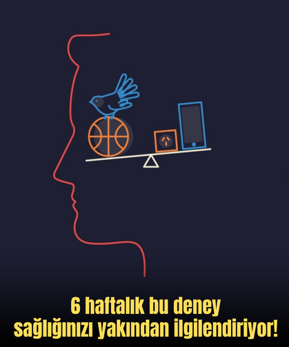 6 haftalık bu deney sağlığınızı yakından ilgilendiriyor!
