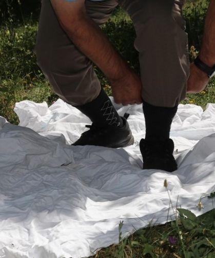 Sivas'tan ilginç açıklama: Keneler avını titreşimle buluyor
