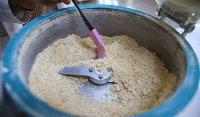 Veganlar için "nohut peyniri" üretildi