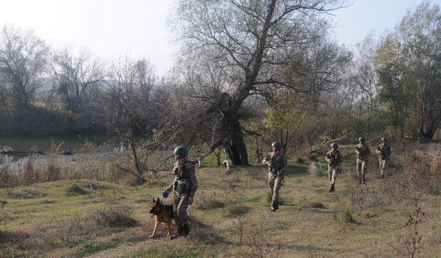 2 FETÖ şüphelisi Yunanistan'a kaçarken yakalandı