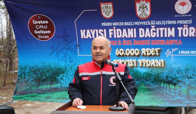 Kayısı üretiminde  10. sıradayız