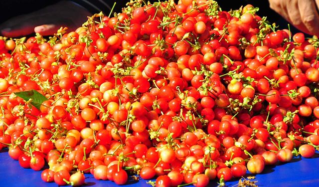 Sezonun ilk kirazı 3 bin 500 TL'den satıldı