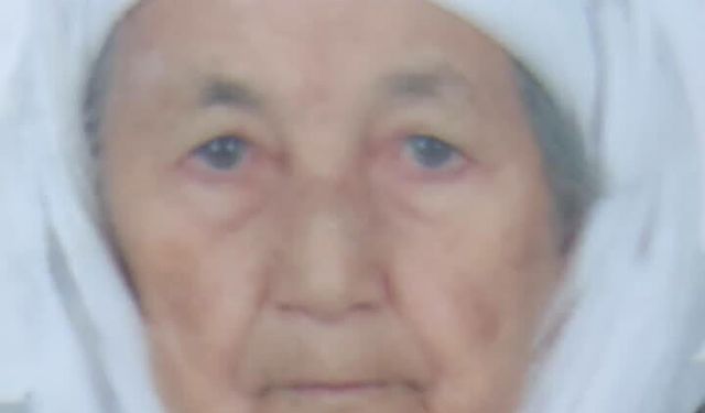 Su kuyusuna düşen kadın öldü