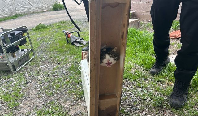 Sivas'ta Dolaba Sıkışan Kedi Uzun Uğraşlar Sonucu Kurtarıldı