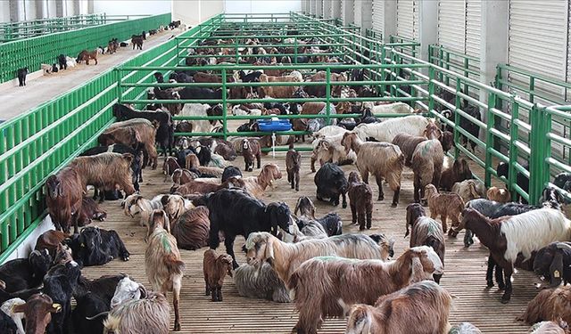 Destekleme Başvuruları Yarın Başlıyor