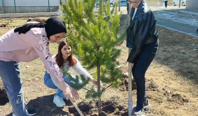 İmranlı MYO Öğrencileri Kampüsü Yeşertiyor