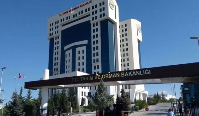 81 ilde ‘Orman Benim’ etkinliği düzenlenecek