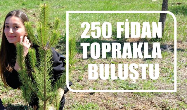 250 Fidan Toprakla Buluştu