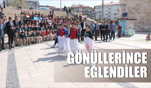 Gönüllerince  Eğlendiler