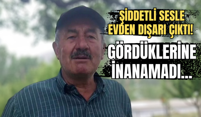 Şiddetli sesle evden dışarı çıktı! Gördüklerine inanamadı...