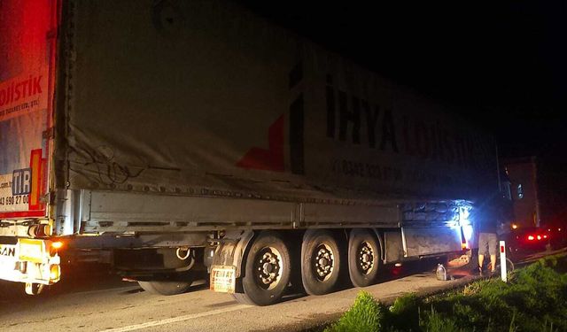 Sivas'ta Fındık Kabuğu Yüklü TIR'da Yangın Paniği