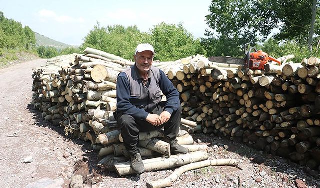 40 yıldır titrek kavak ormanına emek veriyor