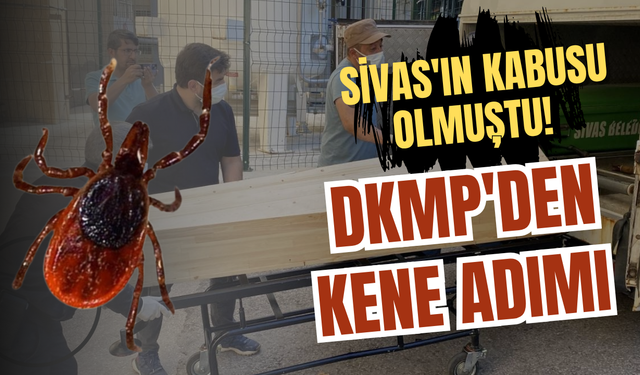 Sivas'ın kabusu olmuştu! DKMP'den kene adımı