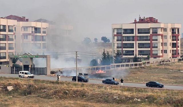 Çöpe atılan sigara izmariti nedeniyle yangın çıktı