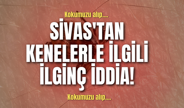 Sivas'tan kenelerle ilgili ilginç iddia!