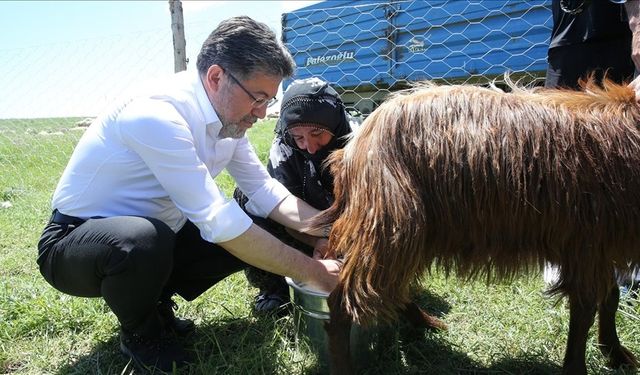 Tarım ve Orman Bakanı Yumaklı, kadınlarla süt sağdı