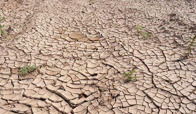 Tehlike kapıda! Kuraklık 2050 yılına kadar 1 milyar kişiyi göç ettirebilir
