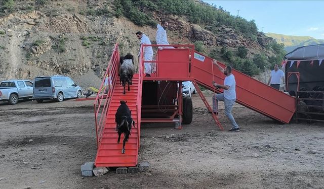Hayvanlarını yaylalara götüren göçerlere mobil hizmet