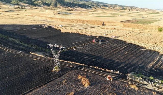 Yangında 80 dönüm alan zarar gördü