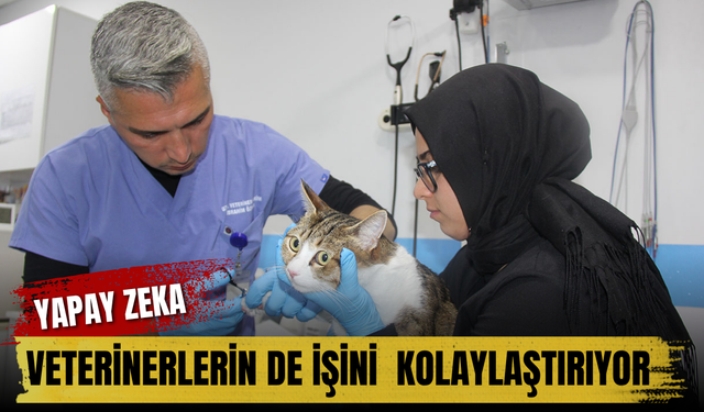 Yapay zeka veterinerlerin de işini kolaylaştırıyor