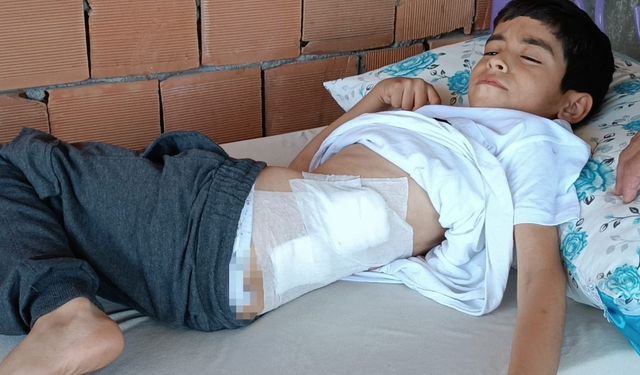 Oyun oynayan çocuğa yorgun mermi isabet etti!