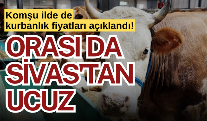 Komşu ilde de kurbanlık fiyatları açıklandı! Orası da Sivas'tan ucuz