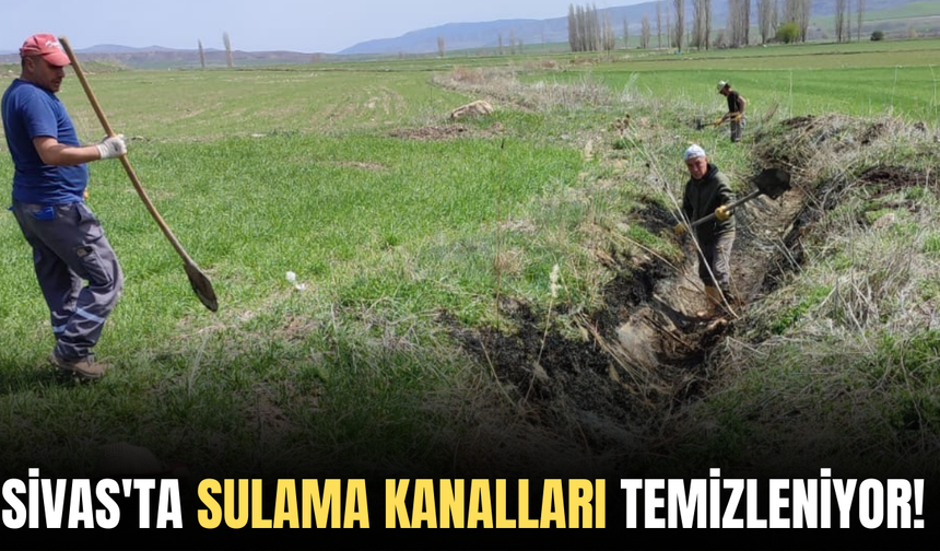 Sivas'ta sulama kanalları temizleniyor!
