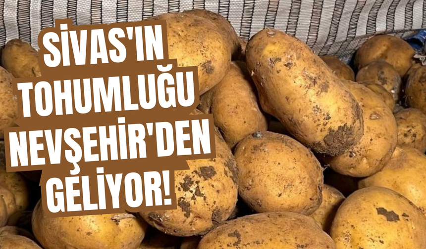 Sivas'ın tohumluğu Nevşehir'den geliyor!