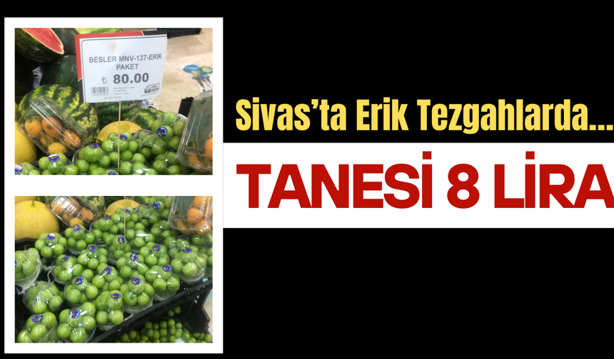 Sivas’ta Erik Tezgahlarda… Tanesi 8 Lira