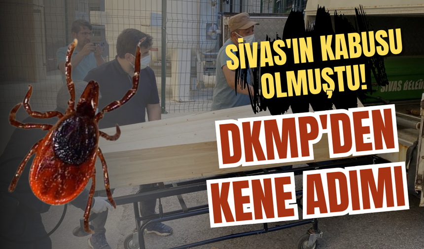 Sivas'ın kabusu olmuştu! DKMP'den kene adımı