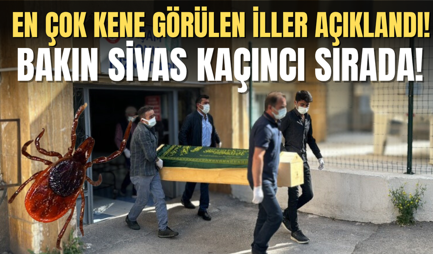 En çok kene görülen iller açıklandı! Bakın Sivas kaçıncı sırada!