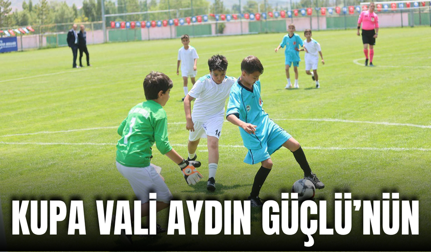 Kupa Vali Aydın Güçlü’nün