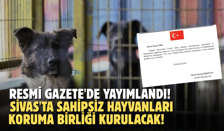 Resmi Gazete'de yayımlandı! Sivas'ta Sahipsiz Hayvanları Koruma Birliği kurulacak!