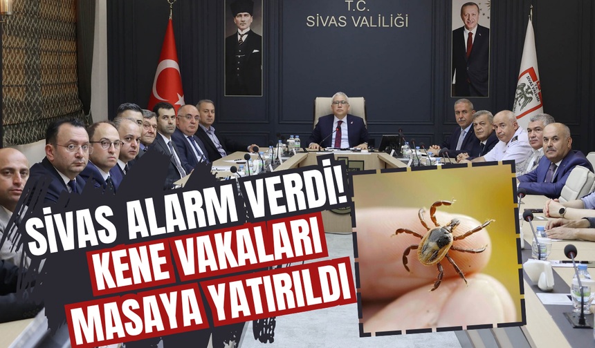 Sivas Alarm Verdi! Kene Vakaları Masaya Yatırıldı
