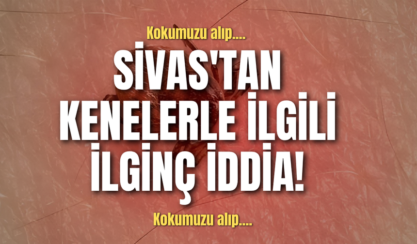 Sivas'tan kenelerle ilgili ilginç iddia!