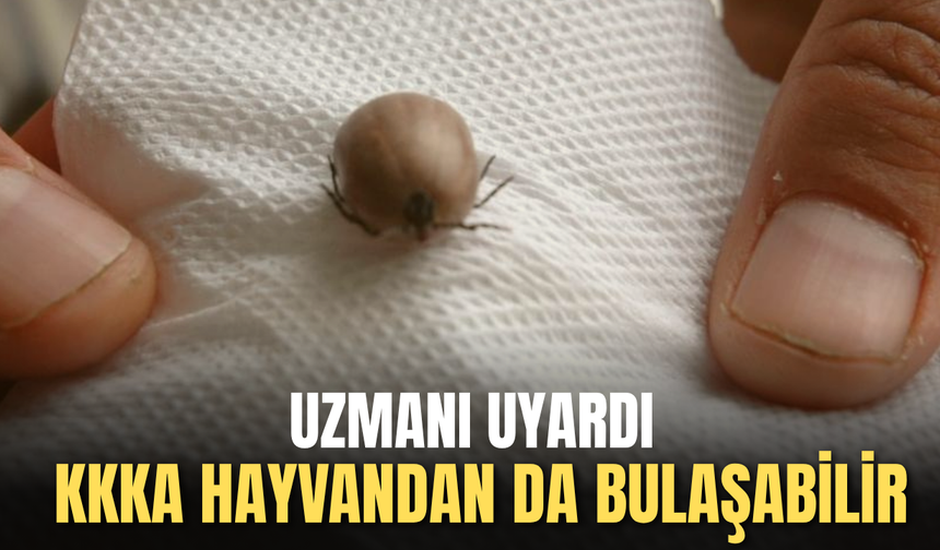 Uzmanı uyardı: KKKA hayvandan da bulaşabilir